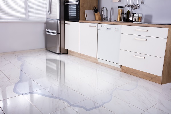 dishwasher leaking water